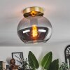 Apedo Lámpara de Techo - Cristal Latón, 1 luz