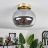 Apedo Lámpara de Techo - Cristal Latón, 1 luz
