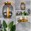 Apedo Lámpara de Techo - Cristal Latón, 1 luz