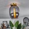 Apedo Lámpara de Techo - Cristal Latón, 1 luz