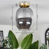 Apedo Lámpara de Techo - Cristal Latón, 1 luz