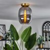 Apedo Lámpara de Techo - Cristal Latón, 1 luz