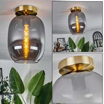 Apedo Lámpara de Techo - Cristal Latón, 1 luz