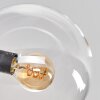 Gastor Lámpara de Techo - Cristal Transparente, 7 luces