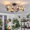 Chehalis Lámpara de Techo Ahumado, 6 luces