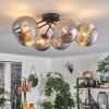 Chehalis Lámpara de Techo Ahumado, 6 luces