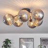Chehalis Lámpara de Techo Ahumado, 6 luces