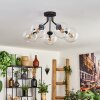 Gastor Lámpara de Techo - Cristal Transparente, 5 luces