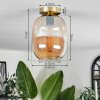 Apedo Lámpara de Techo - Cristal Latón, 1 luz