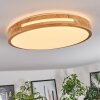 Sofo Lámpara de Techo LED Blanca, 1 luz, Mando a distancia