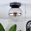 Gastor Lámpara de Techo - Cristal Cromo, Transparente, Ahumado, 1 luz
