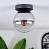 Gastor Lámpara de Techo - Cristal Cromo, Transparente, Ahumado, 1 luz