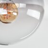 Gastor Lámpara de Techo - Cristal Transparente, Ahumado, 1 luz