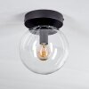 Gastor Lámpara de Techo - Cristal Transparente, 1 luz