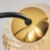 Chehalis Lámpara de Techo - Cristal dorado, Negro, 6 luces