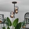 Chehalis Lámpara de Techo - Cristal Ahumado, 4 luces