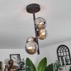 Chehalis Lámpara de Techo - Cristal Ahumado, 4 luces