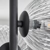 Chehalis Lámpara de Techo - Cristal Transparente, 4 luces