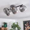 Chehalis Lámpara de Techo - Cristal Transparente, Ahumado, 5 luces