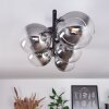 Chehalis Lámpara de Techo - Cristal Transparente, Ahumado, 5 luces