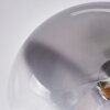 Chehalis Lámpara de Techo - Cristal Transparente, Ahumado, 5 luces