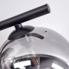 Chehalis Lámpara de Techo - Cristal Transparente, Ahumado, 5 luces