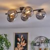 Chehalis Lámpara de Techo - Cristal Transparente, Ahumado, 5 luces