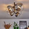 Chehalis Lámpara de Techo - Cristal Transparente, Ahumado, 4 luces
