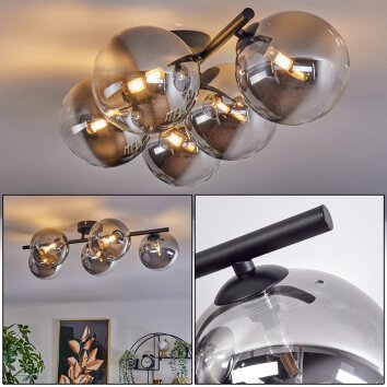Chehalis Lámpara de Techo - Cristal Transparente, Ahumado, 5 luces