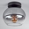 Apedo Lámpara de Techo - Cristal Transparente, Ahumado, 1 luz