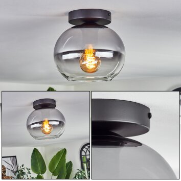 Apedo Lámpara de Techo - Cristal Transparente, Ahumado, 1 luz