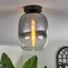 Apedo Lámpara de Techo - Cristal Transparente, Ahumado, 1 luz