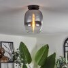 Apedo Lámpara de Techo - Cristal Transparente, Ahumado, 1 luz