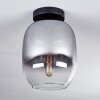 Apedo Lámpara de Techo - Cristal Transparente, Ahumado, 1 luz