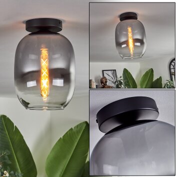 Apedo Lámpara de Techo - Cristal Transparente, Ahumado, 1 luz