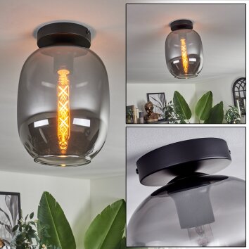 Apedo Lámpara de Techo - Cristal Ahumado, 1 luz