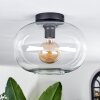 Apedo Lámpara de Techo - Cristal Transparente, 1 luz