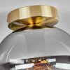 Apedo Lámpara de Techo - Cristal Latón, 1 luz