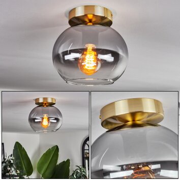 Apedo Lámpara de Techo - Cristal Latón, 1 luz