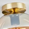Apedo Lámpara de Techo - Cristal Latón, 1 luz