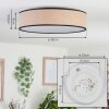 Parbiak Lámpara de Techo LED Blanca, 1 luz
