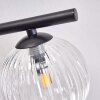 Chehalis Lámpara de Techo - Cristal Transparente, 4 luces