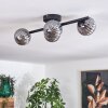 Chehalis Lámpara de Techo - Cristal Ahumado, 4 luces