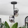Chehalis Lámpara de Techo - Cristal Ahumado, 4 luces