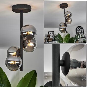 Chehalis Lámpara de Techo - Cristal Ahumado, 4 luces