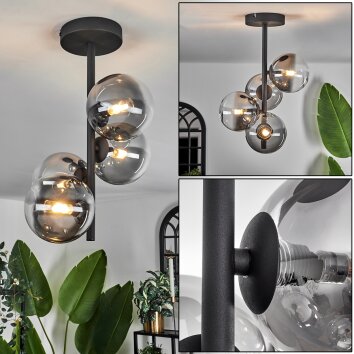 Chehalis Lámpara de Techo - Cristal Transparente, Ahumado, 4 luces Chehalis Lámpara de Techo - Cristal Transparente, Ahumado, 4 luces