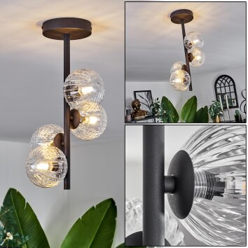 Chehalis Lámpara de Techo - Cristal Transparente, 4 luces