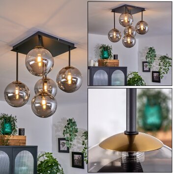 Chehalis Lámpara de Techo - Cristal dorado, Negro, 5 luces