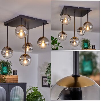 Chehalis Lámpara de Techo - Cristal dorado, Negro, 5 luces Chehalis Lámpara de Techo - Cristal dorado, Negro, 5 luces