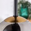 Chehalis Lámpara de Techo - Cristal dorado, Negro, 5 luces